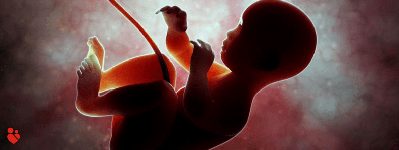 What are the causes of fetal anemia during pregnancy?