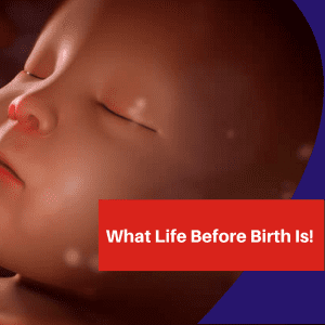 What Life Before Birth Is – These Mind Blowing Pictures Will Tell You!