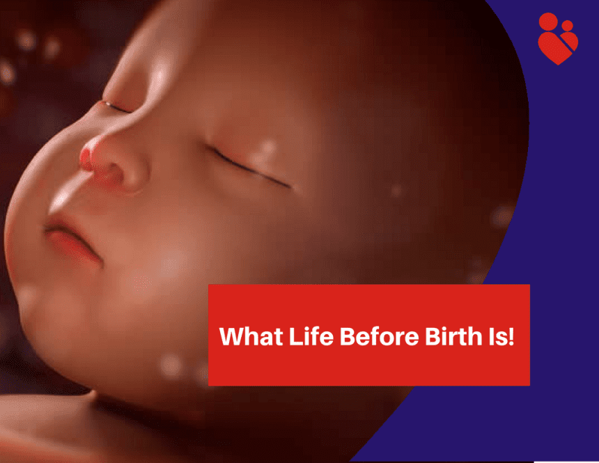 What Life Before Birth Is – These Mind Blowing Pictures Will Tell You!
