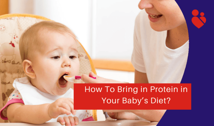 How To Bring in Protein in Your Baby’s Diet?