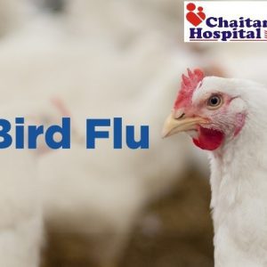  Bird Flu 